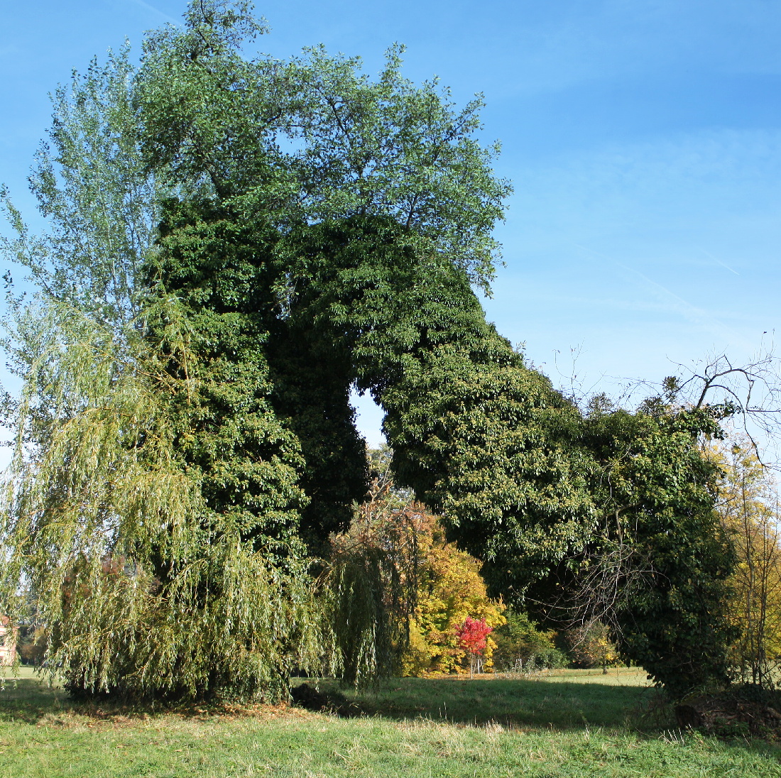 park v Heřmanově Městci